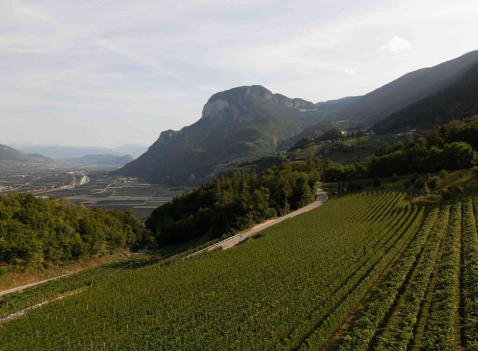 salorno