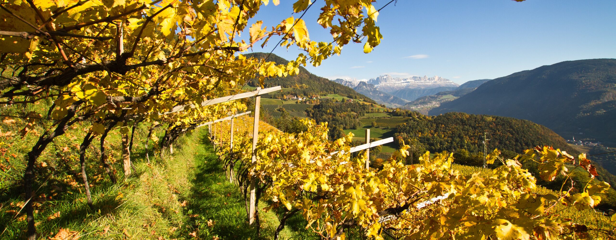 KETTMEIER_TRENTINO_HIGH-73